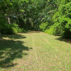 Photo #17 of SOLD property in 4354 Harrells Hwy, Garland, NC 17.0 acres