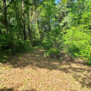 Photo #10 of SOLD property in 4354 Harrells Hwy, Garland, NC 17.0 acres