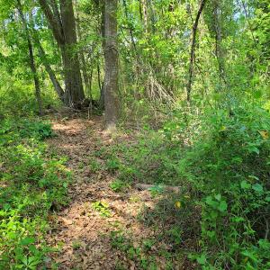 Photo #11 of SOLD property in 4354 Harrells Hwy, Garland, NC 17.0 acres