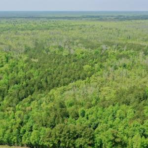 Photo #6 of Off Caratoke Hwy, Barco, NC 23.0 acres
