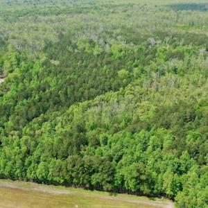 Photo #10 of Off Caratoke Hwy, Barco, NC 23.0 acres