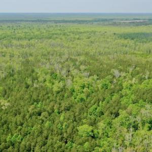 Photo #11 of Off Caratoke Hwy, Barco, NC 23.0 acres