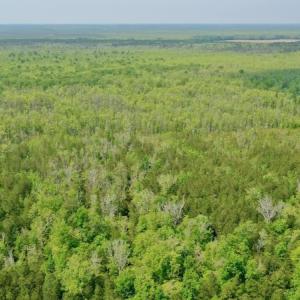 Photo #12 of Off Caratoke Hwy, Barco, NC 23.0 acres