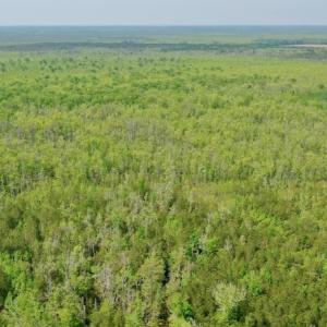 Photo #13 of Off Caratoke Hwy, Barco, NC 23.0 acres
