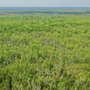 Photo #14 of Off Caratoke Hwy, Barco, NC 23.0 acres