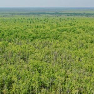 Photo #15 of Off Caratoke Hwy, Barco, NC 23.0 acres