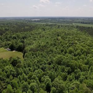 Photo #9 of SOLD property in Off East River Road, Louisburg, NC 10.1 acres