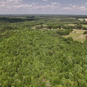 Photo #13 of SOLD property in Off East River Road, Louisburg, NC 10.1 acres