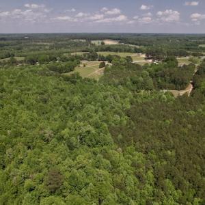 Photo #14 of SOLD property in Off East River Road, Louisburg, NC 10.1 acres