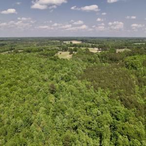 Photo #15 of SOLD property in Off East River Road, Louisburg, NC 10.1 acres