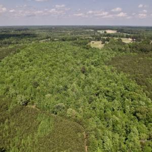 Photo #16 of SOLD property in Off East River Road, Louisburg, NC 10.1 acres