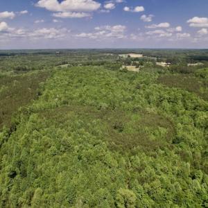 Photo #18 of SOLD property in Off East River Road, Louisburg, NC 10.1 acres