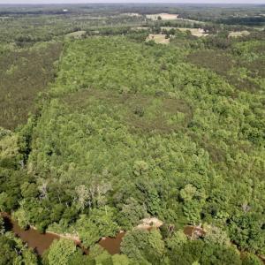 Photo #19 of SOLD property in Off East River Road, Louisburg, NC 10.1 acres