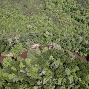 Photo #20 of SOLD property in Off East River Road, Louisburg, NC 10.1 acres