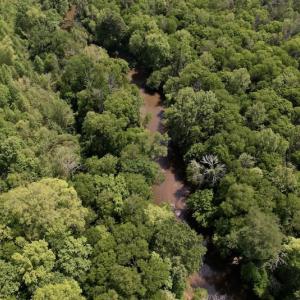 Photo #23 of SOLD property in Off East River Road, Louisburg, NC 10.1 acres