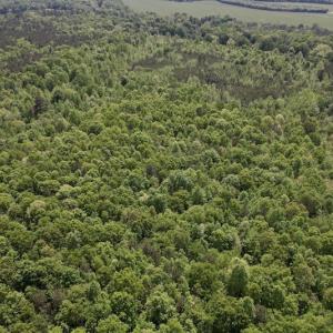Photo #24 of SOLD property in Off East River Road, Louisburg, NC 10.1 acres