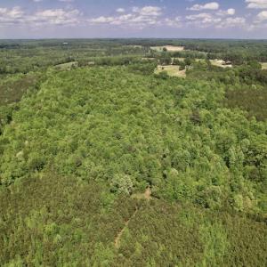 Photo #25 of SOLD property in Off East River Road, Louisburg, NC 10.1 acres
