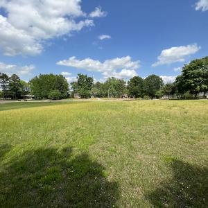 Photo #28 of SOLD property in Off East River Road, Louisburg, NC 10.1 acres