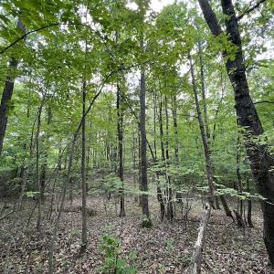 Photo #30 of SOLD property in Off East River Road, Louisburg, NC 10.1 acres