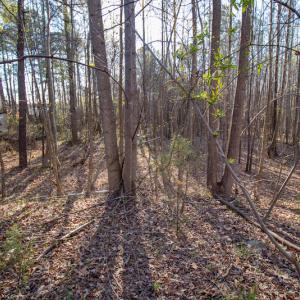 Photo #17 of SOLD property in Off Webb Hill St, Roanoke Rapids, NC 8.6 acres