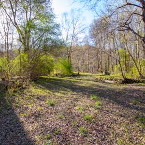 Photo #20 of SOLD property in Off Webb Hill St, Roanoke Rapids, NC 8.6 acres