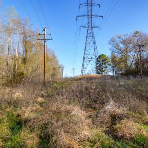 Photo #21 of SOLD property in Off Webb Hill St, Roanoke Rapids, NC 8.6 acres