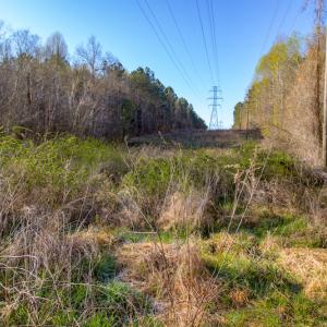 Photo #22 of SOLD property in Off Webb Hill St, Roanoke Rapids, NC 8.6 acres