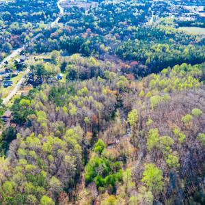 Photo #6 of SOLD property in Off Webb Hill St, Roanoke Rapids, NC 8.6 acres