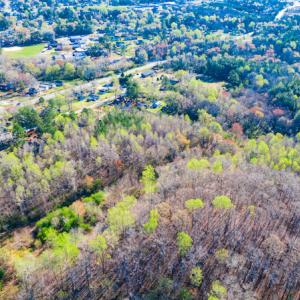 Photo #7 of SOLD property in Off Webb Hill St, Roanoke Rapids, NC 8.6 acres
