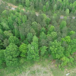 Photo #9 of #50 Sail View Lane, Macon, NC 1.0 acres