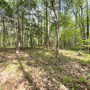 Photo #11 of SOLD property in Off Mineral Spring Rd , Whaleyville, VA 15.0 acres