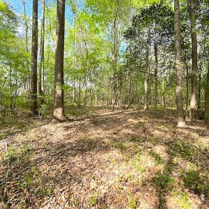 Photo #12 of SOLD property in Off Mineral Spring Rd , Whaleyville, VA 15.0 acres