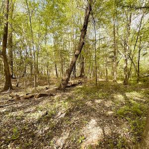 Photo #15 of SOLD property in Off Mineral Spring Rd , Whaleyville, VA 15.0 acres