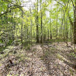 Photo #16 of SOLD property in Off Mineral Spring Rd , Whaleyville, VA 15.0 acres
