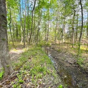 Photo #17 of SOLD property in Off Mineral Spring Rd , Whaleyville, VA 15.0 acres
