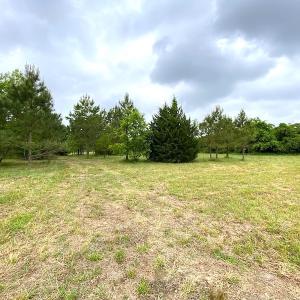 Photo #20 of SOLD property in Off Mineral Spring Rd , Whaleyville, VA 15.0 acres