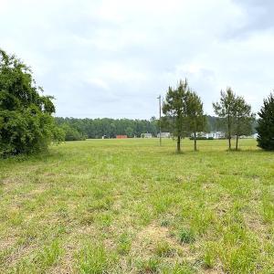 Photo #22 of SOLD property in Off Mineral Spring Rd , Whaleyville, VA 15.0 acres
