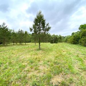 Photo #23 of SOLD property in Off Mineral Spring Rd , Whaleyville, VA 15.0 acres