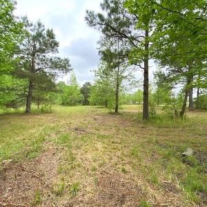 Photo #25 of SOLD property in Off Mineral Spring Rd , Whaleyville, VA 15.0 acres