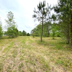 Photo #26 of SOLD property in Off Mineral Spring Rd , Whaleyville, VA 15.0 acres