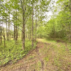 Photo #27 of SOLD property in Off Mineral Spring Rd , Whaleyville, VA 15.0 acres