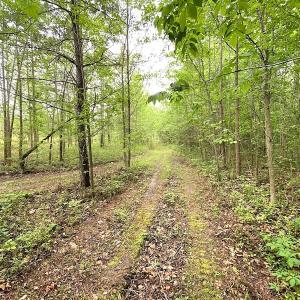 Photo #28 of SOLD property in Off Mineral Spring Rd , Whaleyville, VA 15.0 acres