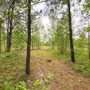 Photo #29 of SOLD property in Off Mineral Spring Rd , Whaleyville, VA 15.0 acres