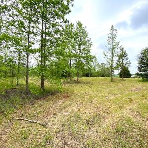 Photo #31 of SOLD property in Off Mineral Spring Rd , Whaleyville, VA 15.0 acres