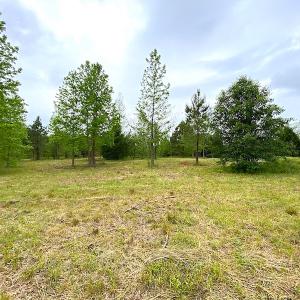 Photo #32 of SOLD property in Off Mineral Spring Rd , Whaleyville, VA 15.0 acres