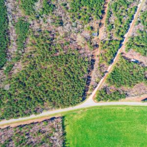 Photo #9 of SOLD property in Off Rascob Road, Sanford, NC 14.0 acres