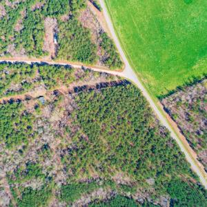 Photo #10 of SOLD property in Off Rascob Road, Sanford, NC 14.0 acres