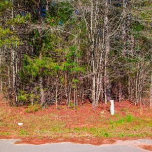 Photo #11 of SOLD property in Off Rascob Road, Sanford, NC 14.0 acres