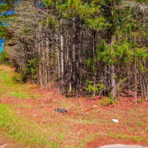 Photo #12 of SOLD property in Off Rascob Road, Sanford, NC 14.0 acres