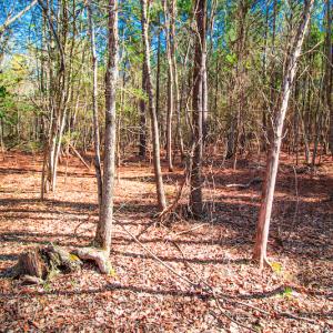 Photo #15 of SOLD property in Off Rascob Road, Sanford, NC 14.0 acres